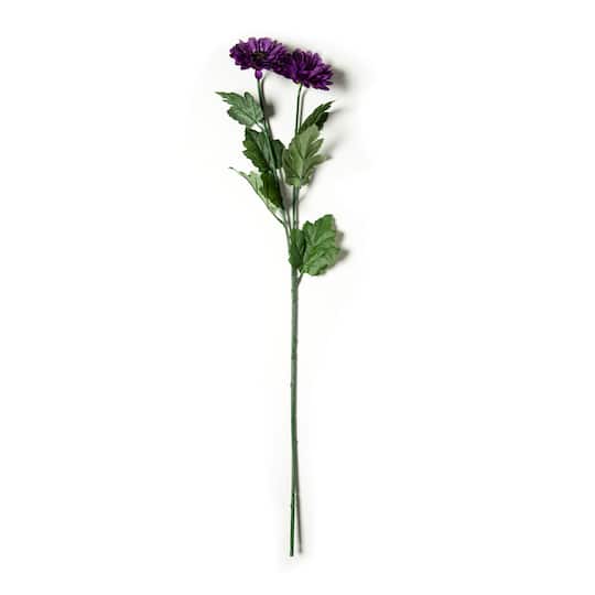 12 Pack: Purple Zinnia Mum Spray by Ashland®